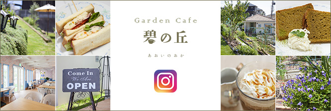 碧の丘インスタグラム