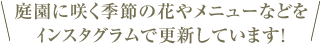 庭園に咲く季節の花やメニューなどをインスタグラムで更新しています！