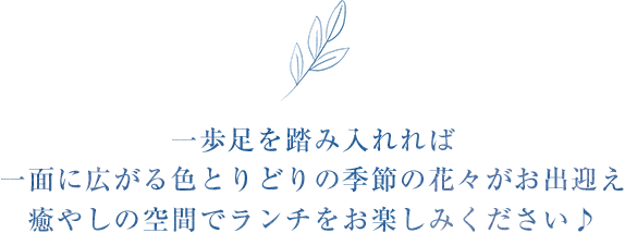 一歩足を踏み入れれば一面に広がる花々や木々がお出迎えいたします。