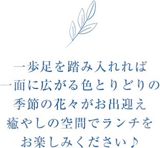 一歩足を踏み入れれば一面に広がる花々や木々がお出迎えいたします。